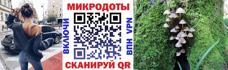 Галлюциногенные грибы мухоморы  Очёр 