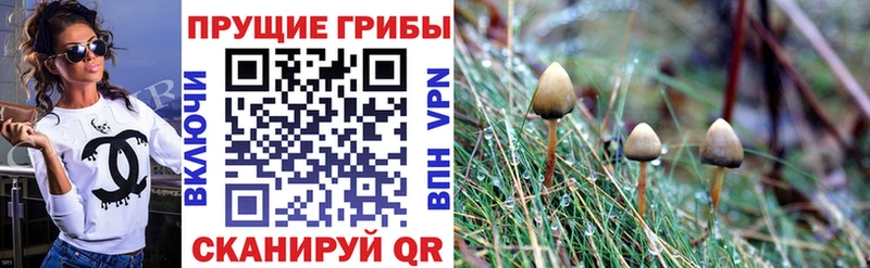 Псилоцибиновые грибы Magic Shrooms Очёр